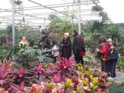 img20140307wa0063